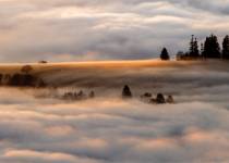 Pierre RICH - Pierre Rich