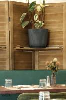 Manon CLARAC - STUDIO MC PHOTOGRAPHIE